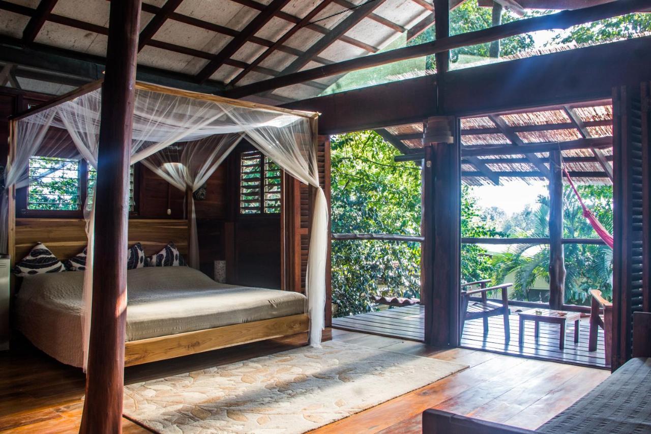 Funky Monkey Lodge Playa Santa Teresa  Esterno foto