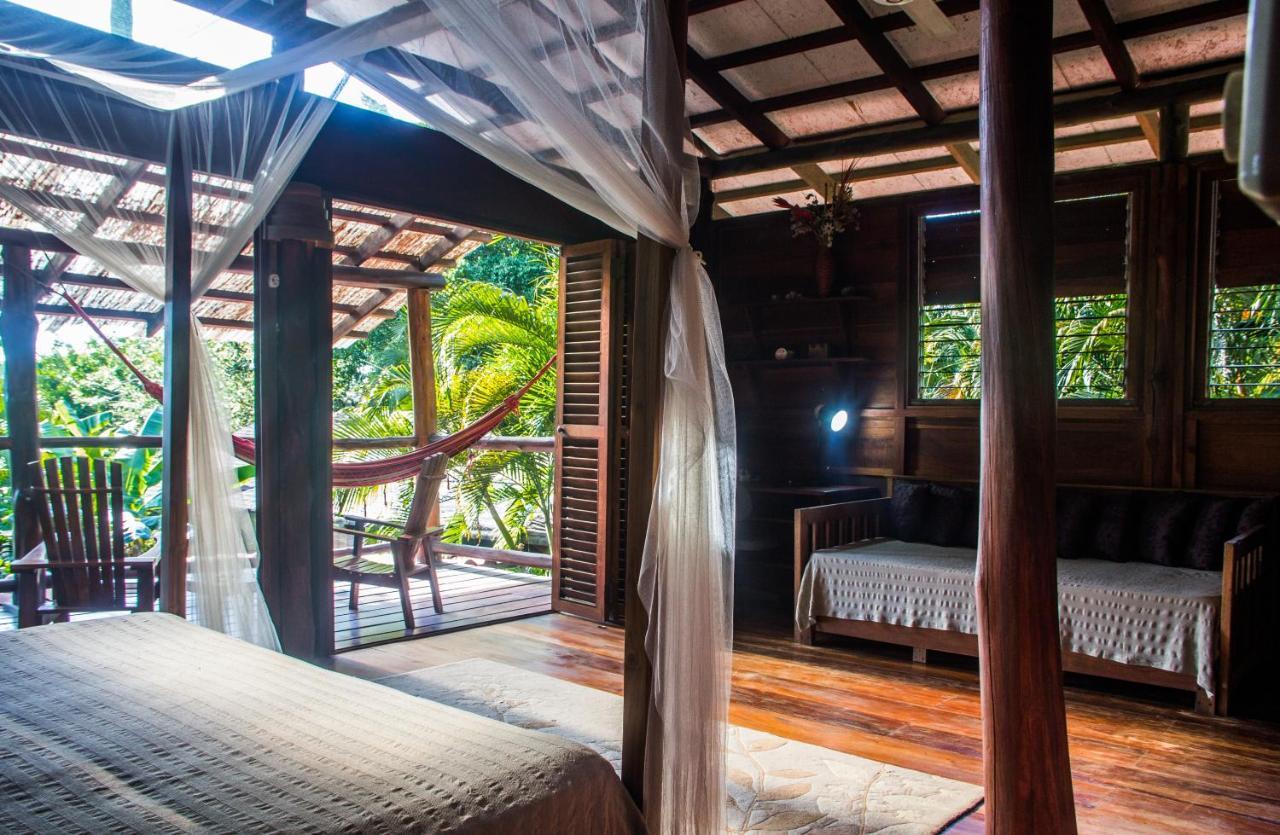 Funky Monkey Lodge Playa Santa Teresa  Esterno foto