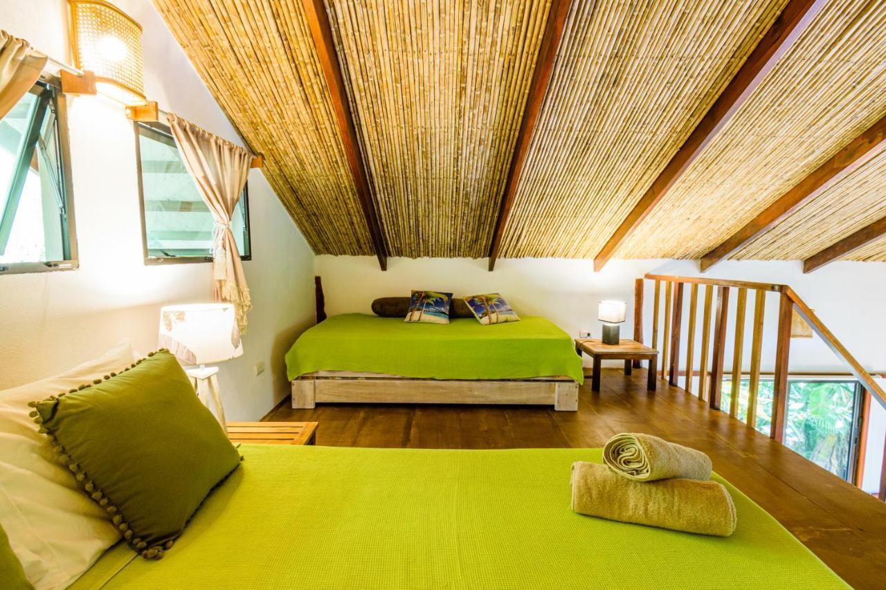 Funky Monkey Lodge Playa Santa Teresa  Esterno foto