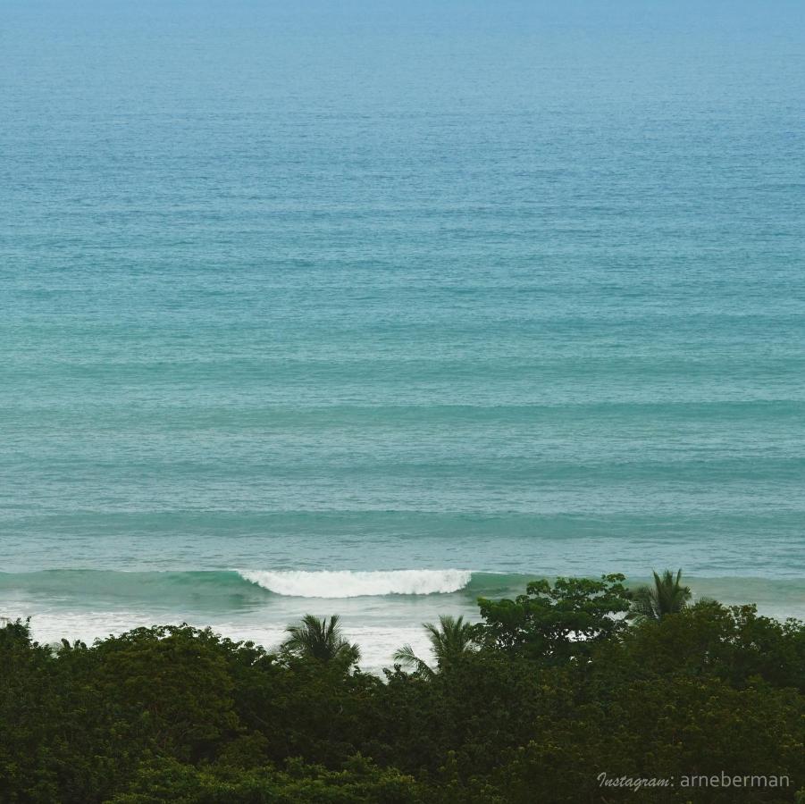 Funky Monkey Lodge Playa Santa Teresa  Esterno foto