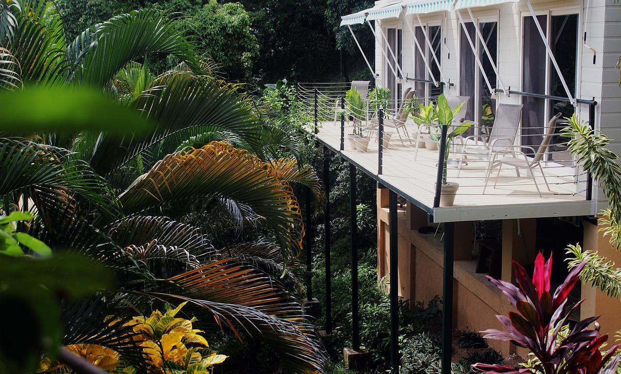 Funky Monkey Lodge Playa Santa Teresa  Esterno foto