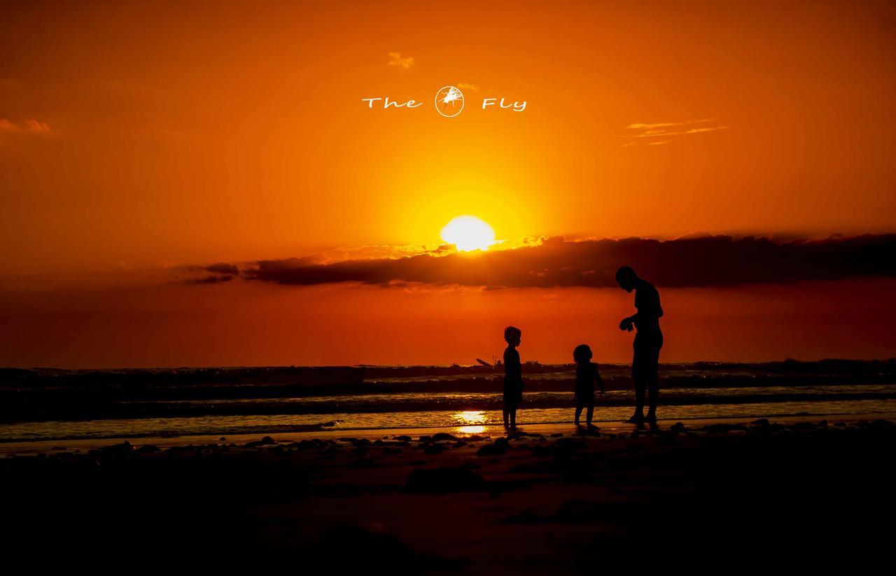 Funky Monkey Lodge Playa Santa Teresa  Esterno foto