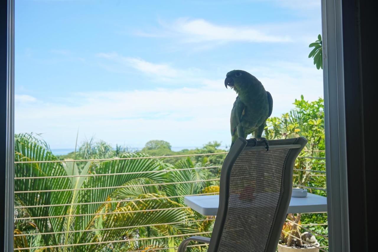Funky Monkey Lodge Playa Santa Teresa  Esterno foto