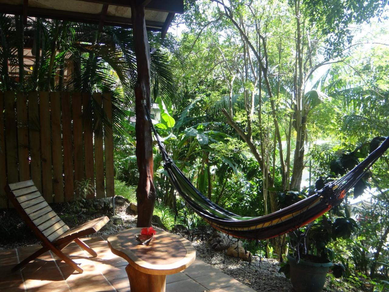 Funky Monkey Lodge Playa Santa Teresa  Esterno foto